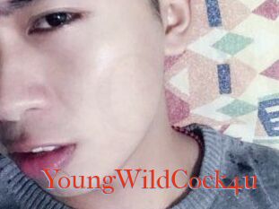 YoungWildCock4u