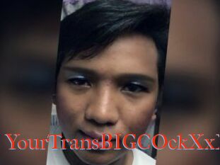 YourTransBIGCOckXxX