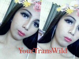 YourTransWild