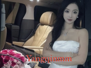 Yangqinmm