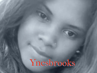 Ynesbrooks