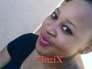ZinziX