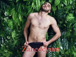 Zanedeyum